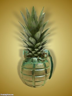 Grenade-Pineapple--32562 (250 x 333).jpg