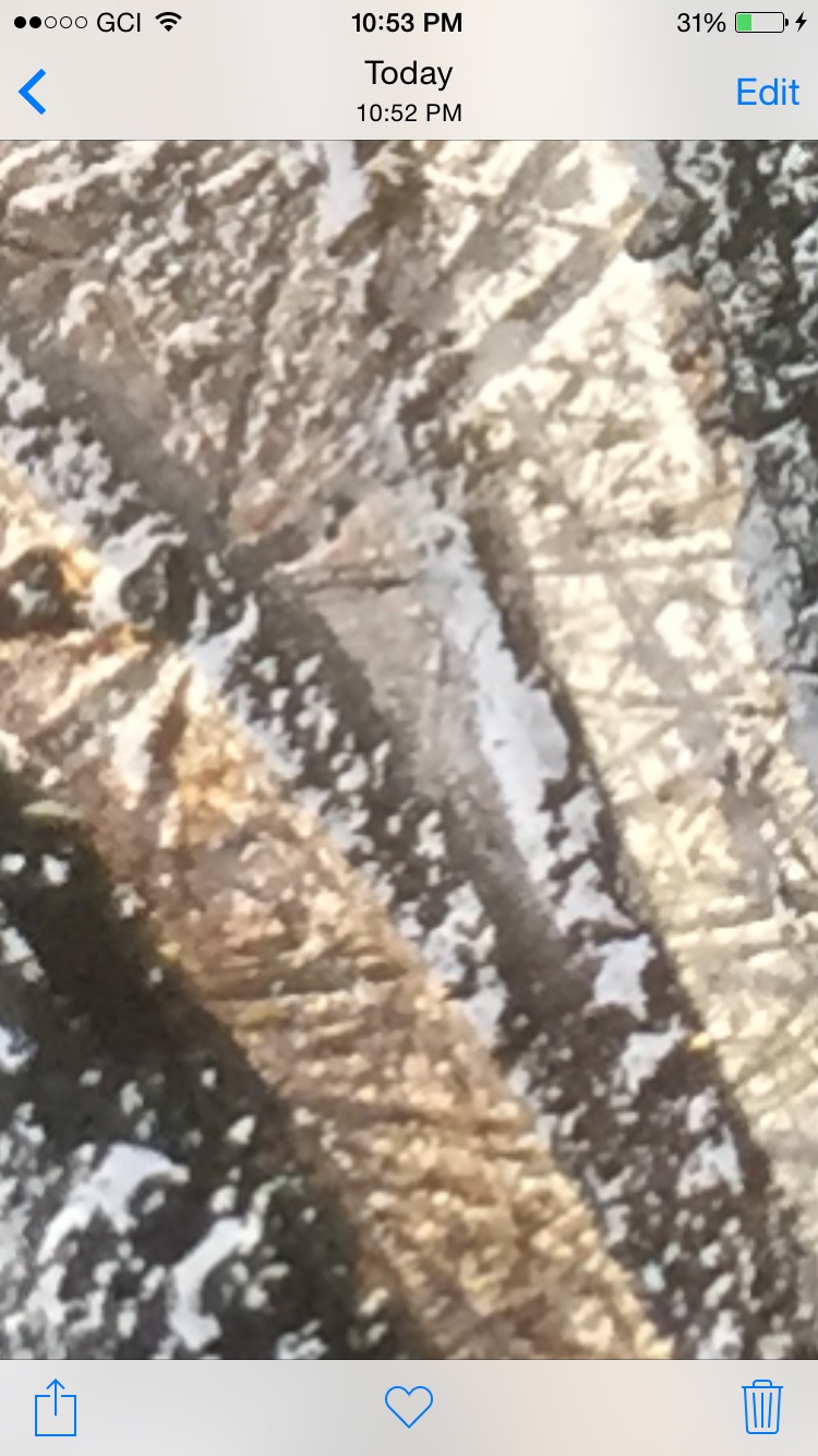 image.jpg