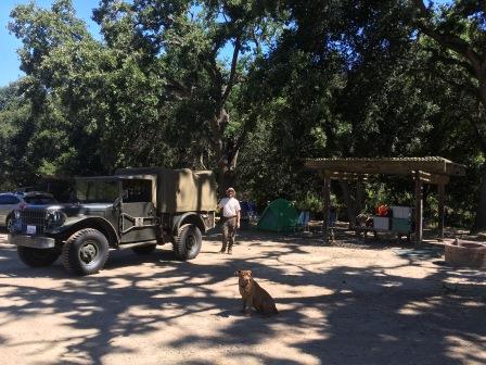 Nice campsites and SHADE which proved a real necessity.
