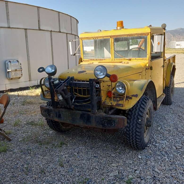 Yellow M37.jpg