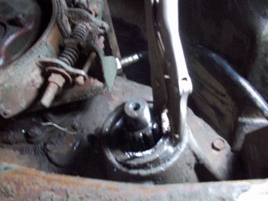 old seal-almost out.JPG
