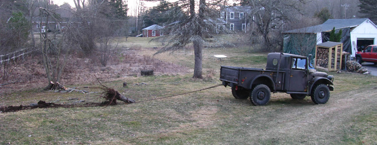 stump pullin small.jpg