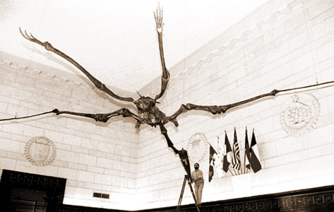 texas-pterosaur.jpg