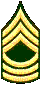 MSGT MSGT